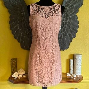 BB Dakota New Nude Lace Dress